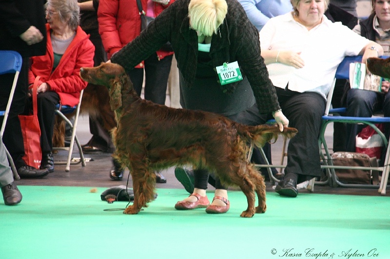 Crufts2011 659.jpg